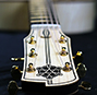 The Carolan guitar